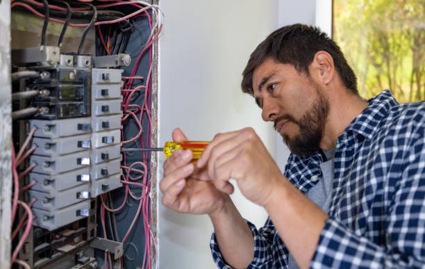 Best Electric Panel Repair  in Rice Lake, MN